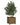 Garden Planters 2 Pcs Honey Brown 31X31X31 Cm Solid Pinewood