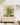 Garden Planter With Rack 79X39.5X114 Cm Solid Wood Pine